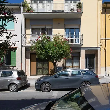 Marco Polo * ヴィアレッジョ