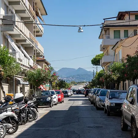 Marco Polo * ヴィアレッジョ